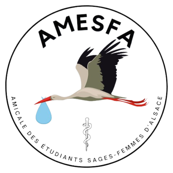 AMESFA Logo AMESFA