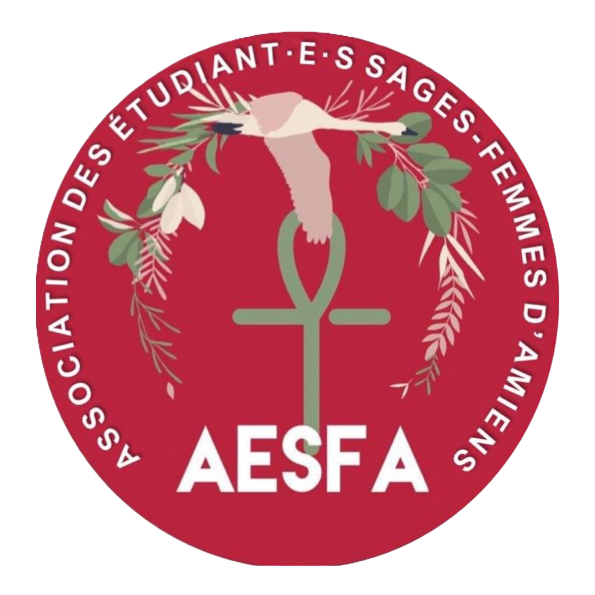AMESFA Logo AMESFA